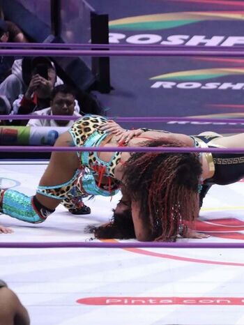Sasha banks page leaked private photo uncensored HD quality
