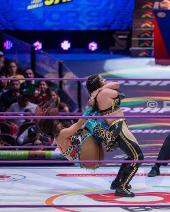 Sasha banks page leaked private photo uncensored HD quality