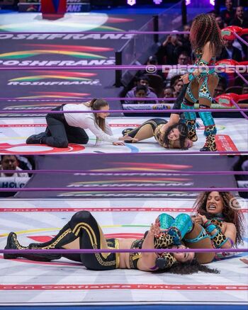 Sasha banks page leaked private photo uncensored HD quality