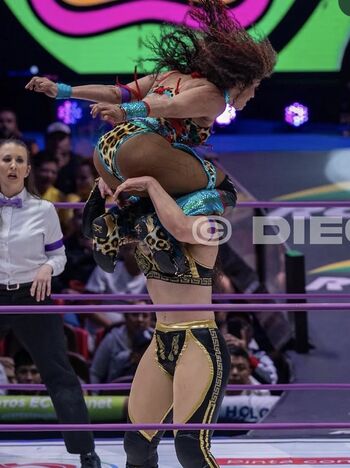 Sasha banks page leaked private photo uncensored HD quality