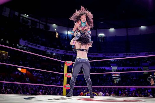 Sasha banks page leaked private photo uncensored HD quality