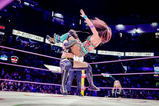 Sasha banks page leaked private photo uncensored HD quality