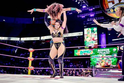 Sasha banks page leaked private photo uncensored HD quality