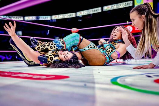 Sasha banks page leaked private photo uncensored HD quality