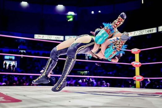 Sasha banks page leaked private photo uncensored HD quality