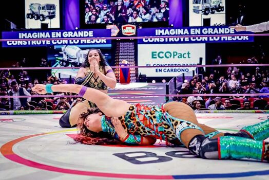 Sasha banks page leaked private photo uncensored HD quality