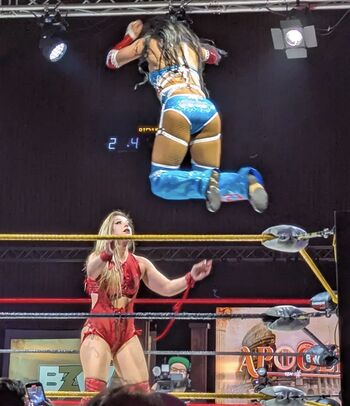 Sasha banks page leaked private photo uncensored HD quality
