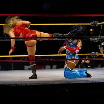 Sasha banks page leaked private photo uncensored HD quality