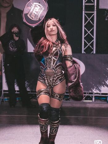 Sasha banks page leaked private photo uncensored HD quality