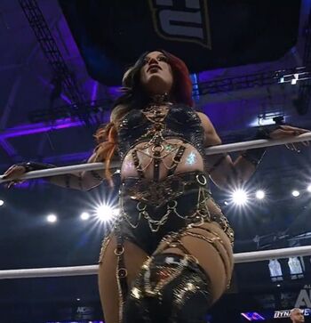 Sasha banks page leaked private photo uncensored HD quality