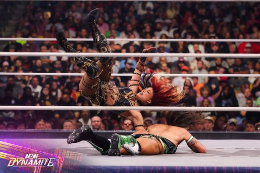 Sasha banks page leaked private photo uncensored HD quality