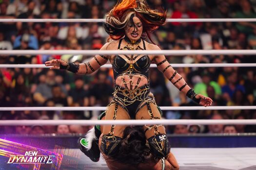 Sasha banks page leaked private photo uncensored HD quality