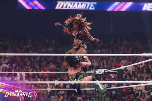 Sasha banks page leaked private photo uncensored HD quality