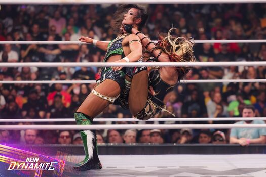 Sasha banks page leaked private photo uncensored HD quality