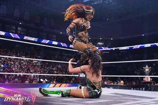 Sasha banks page leaked private photo uncensored HD quality