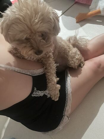 Ssusu kang leaked private photo uncensored HD quality